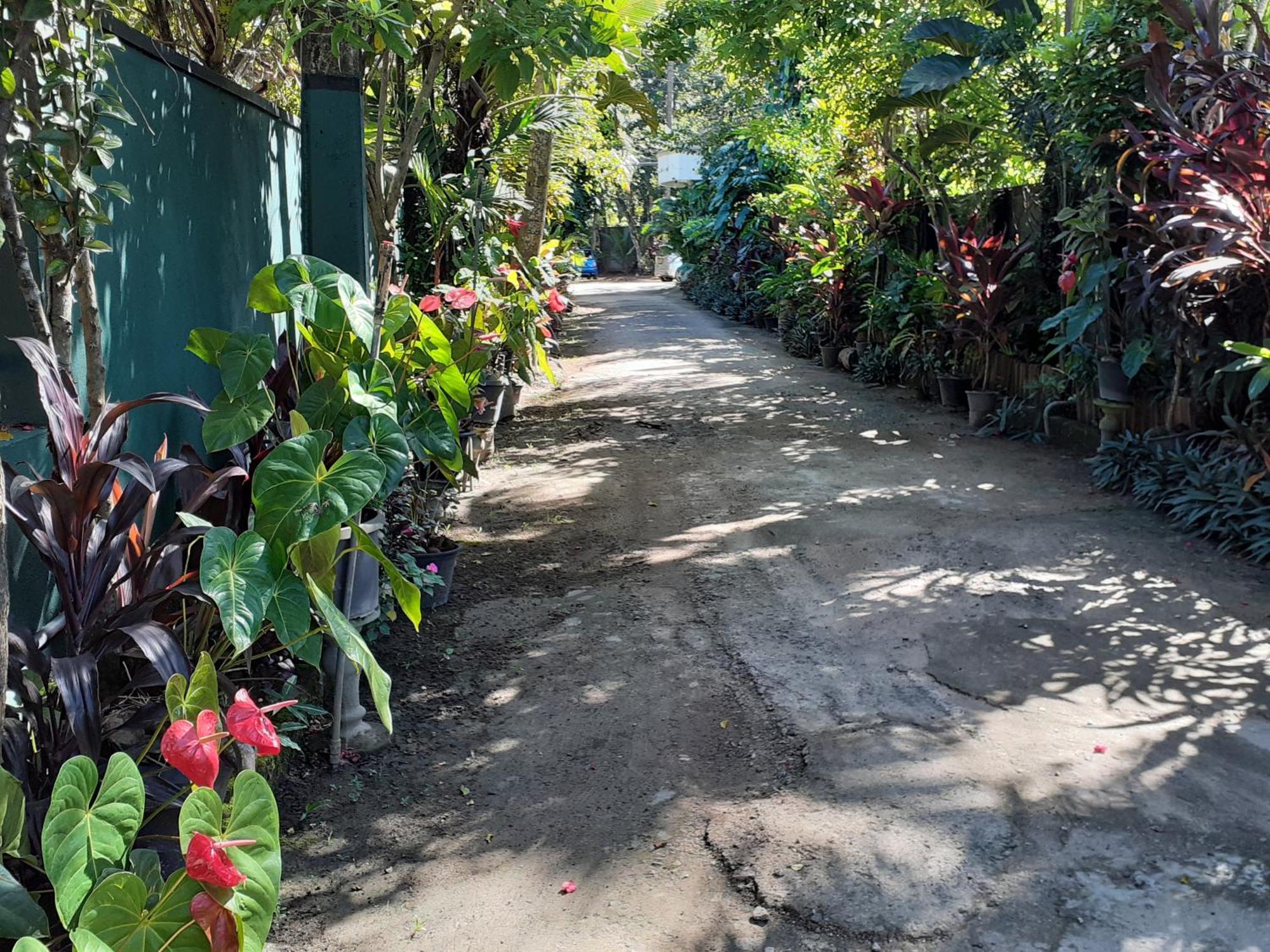Nooit Gedacht Holiday Resort Unawatuna Exterior foto